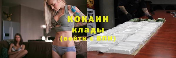 крисы Няндома