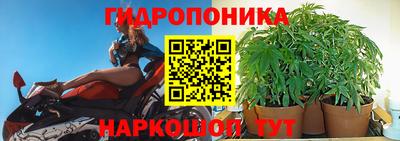 мдпв Ипатово