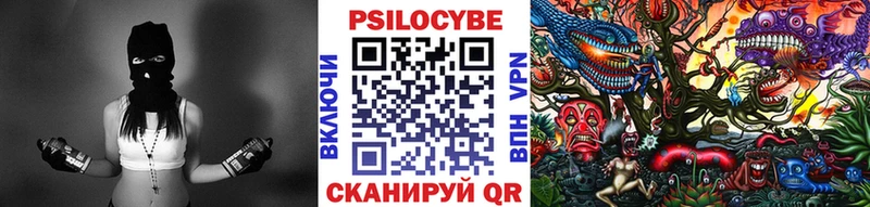 Галлюциногенные грибы Psilocybe Холмск