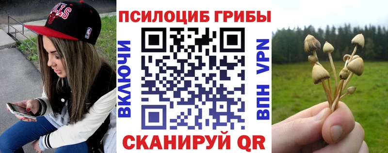 kraken рабочий сайт  Холмск  Галлюциногенные грибы Psilocybine cubensis 