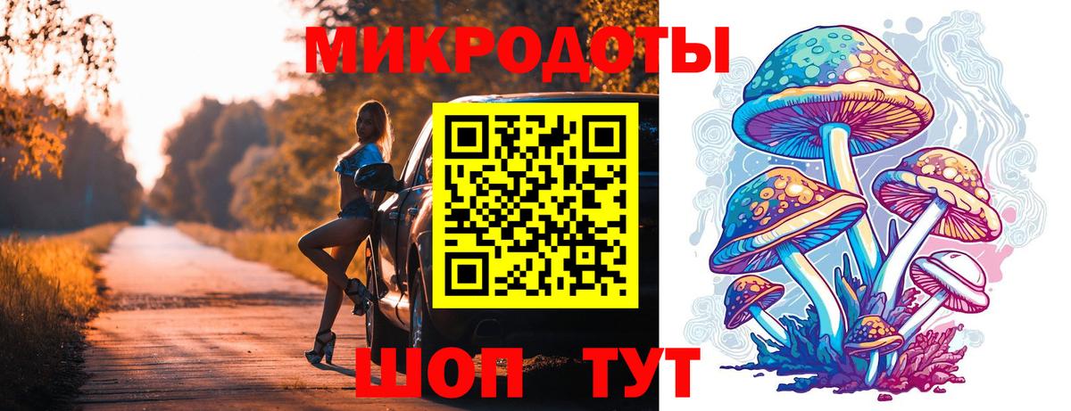 Галлюциногенные грибы Psilocybine cubensis Холмск